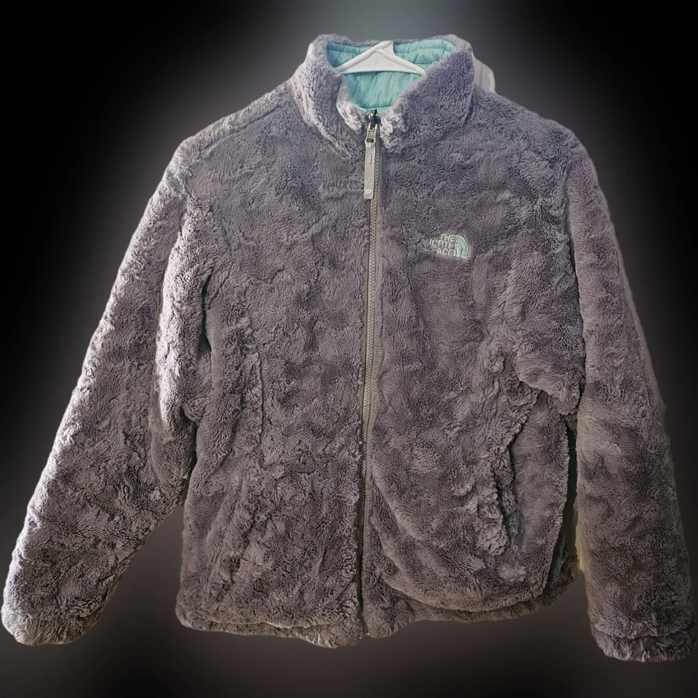 The North Face north face